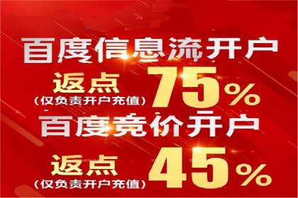 信息流广告的精准定位与效果优化案例分析
